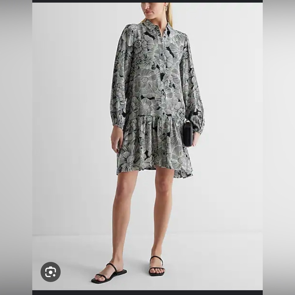 Express shirt dress
